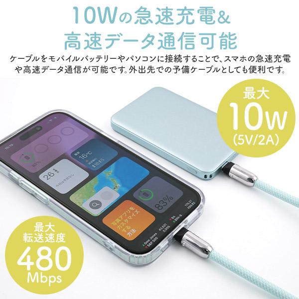 PLATA（プラタ） スマホケース用 Type-C 充電ケーブル ショルダー
