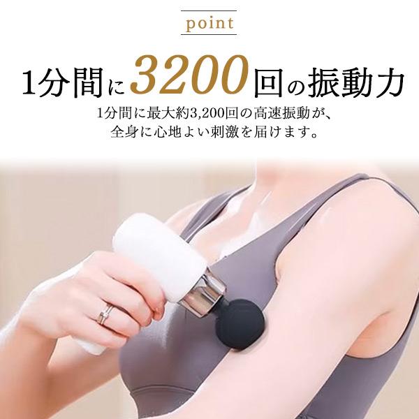 エクササイズガン ハンディガン 手持ち 軽量380g 充電式 4種