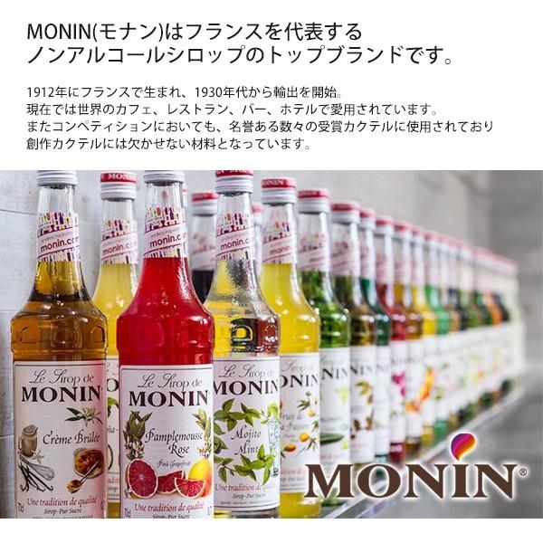 MONIN（モナン） ココナッツ シロップ 250ml ノンアルコールシロップ