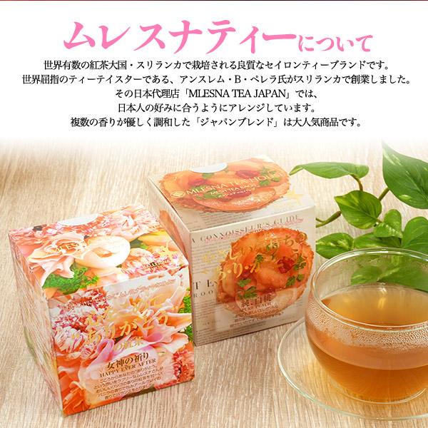 菓子と紅茶 ギフトセット 果実たっぷり ふじ林檎ケーキ ムレスナティー