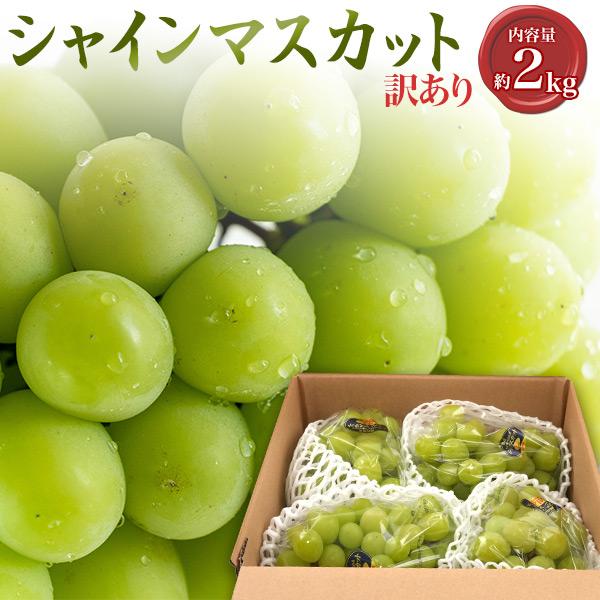 シャインマスカット 詰め合わせ 訳あり 国産 シャインマスカット 詰め合わせ 約2kg (3〜6房) 家庭用 高