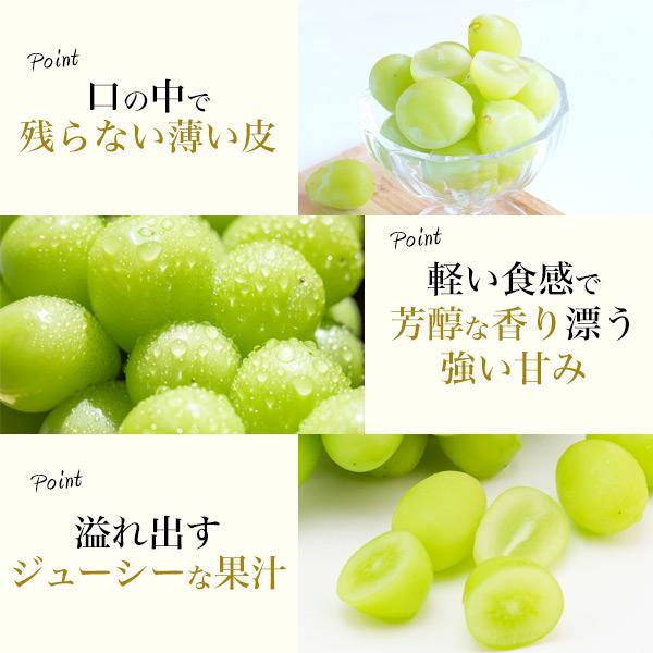 訳あり 国産 シャインマスカット 詰め合わせ 約2kg (3〜6房) 家庭用 高