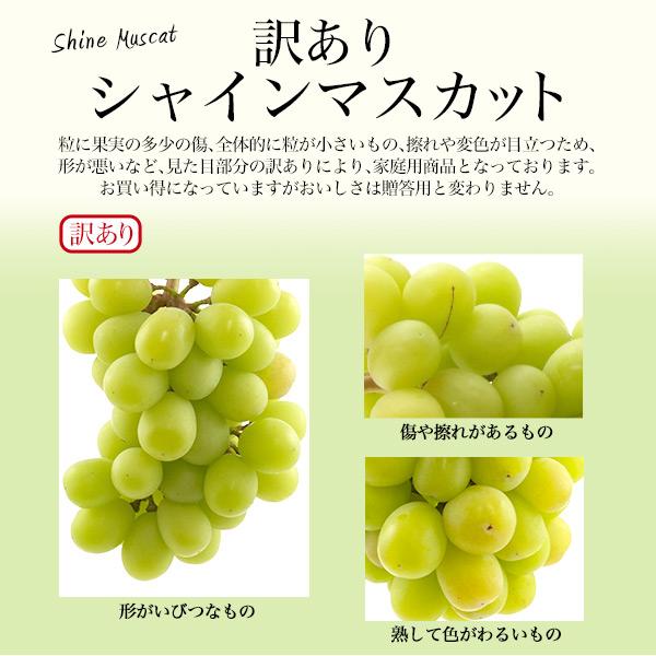 訳あり 国産 シャインマスカット 詰め合わせ 約2kg (3〜6房) 家庭用 高