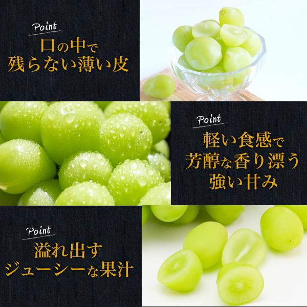 岡山県産 シャインマスカット 晴王 1房 約600g 最高ランク 国産