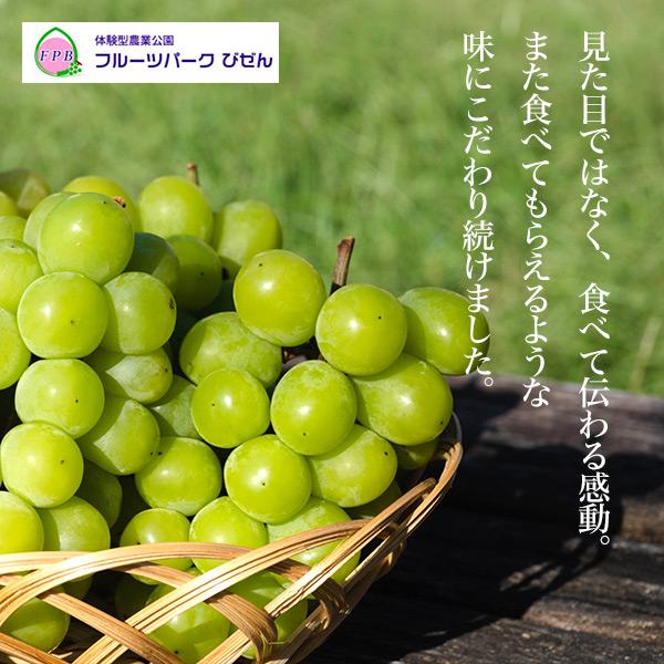 岡山県産 シャインマスカット 晴王 1房 約600g 最高ランク 国産