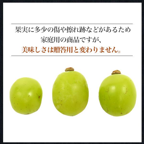 訳あり 岡山県産 シャインマスカット 晴王 粒売り 約180g×3パック 家庭