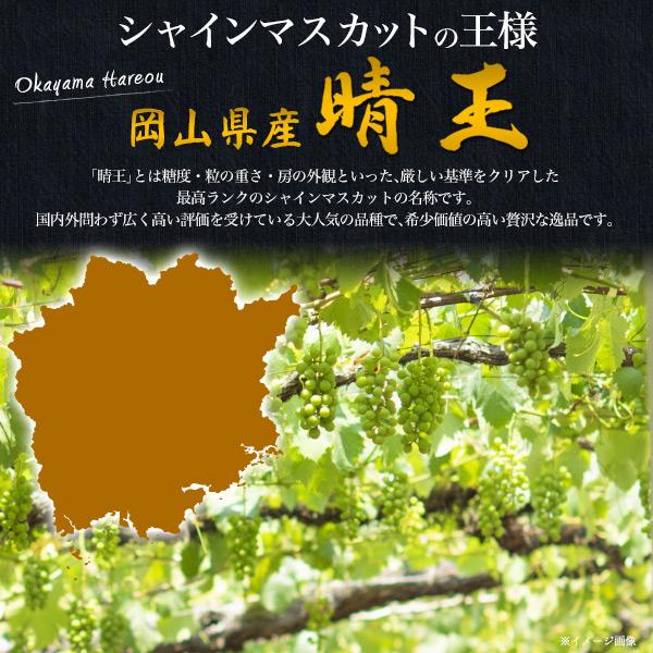 訳あり 岡山県産 シャインマスカット 晴王 粒売り 約180g×3パック 家庭