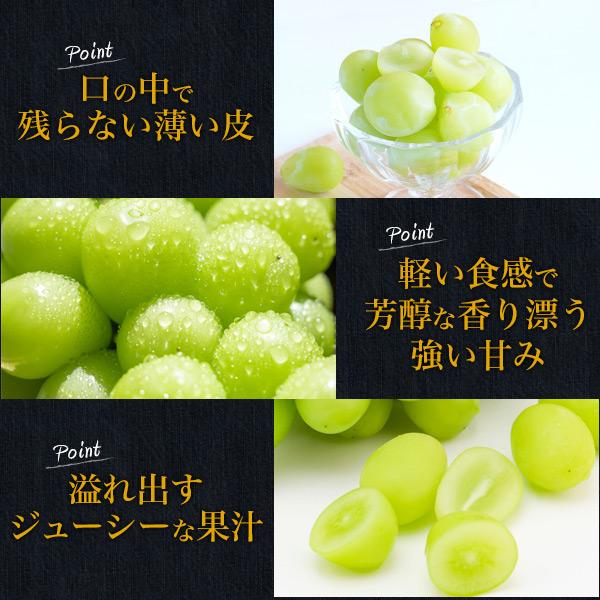 訳あり 岡山県産 シャインマスカット 晴王 粒売り 約180g×3パック 家庭