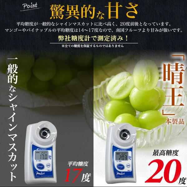岡山県産 シャインマスカット 晴王 20粒入り Lサイズ 糖度20度 国産