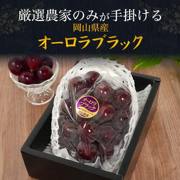 岡山県産 オーロラブラック 1房 約600g 平均糖度17-18度 国産 ブドウ