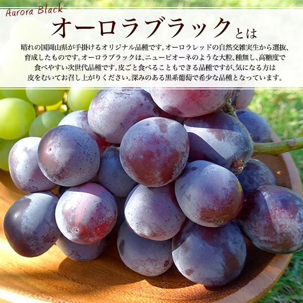 岡山県産 オーロラブラック 1房 約600g 平均糖度17-18度 国産 ブドウ