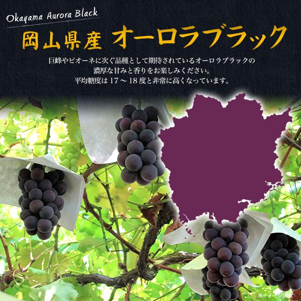 岡山県産 オーロラブラック 1房 約600g 平均糖度17-18度 国産 ブドウ