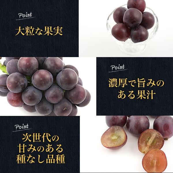 岡山県産 オーロラブラック 1房 約600g 平均糖度17-18度 国産 ブドウ