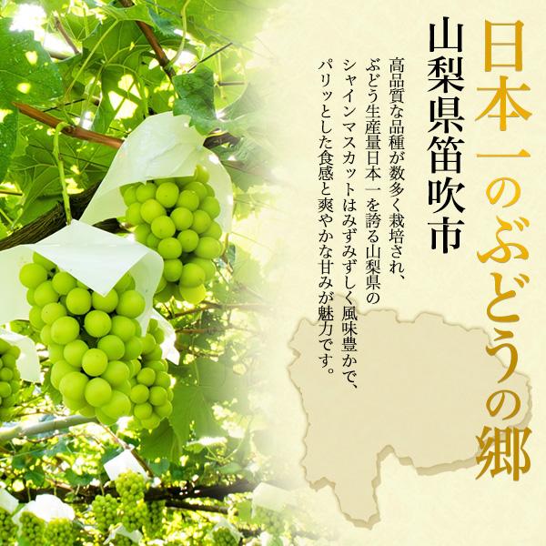山梨県産 ふえふき 匠の葡萄 シャインマスカット 約600g×2房 国産 果物