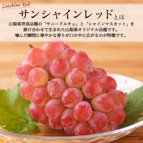 【コメント専用画面】山梨県産ぶどうの粒 山梨県産 ぶどう サンシャインレッド 種なし 葡萄 Mサイズ 20粒入り