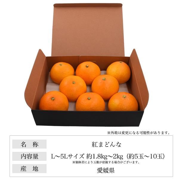 今日新入荷♪常温発送【愛媛県産紅マドンナ秀品 Lサイズ 1ケース約5kg】 紅まどんな 1.7kg (5～10個) 愛媛みかん 愛果28号 化粧箱入り 紅