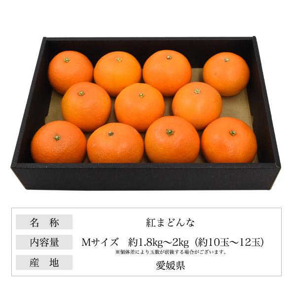 紅まどんな 愛媛県産 みかん 秀品以上 Mサイズ 1.8〜2kg 10〜12玉入り