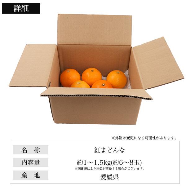 訳あり 紅まどんな 愛媛県産 みかん 約1〜1.5kg 6〜8玉入り 家庭用 紅