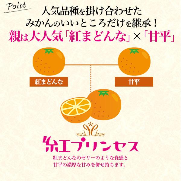 紅プリンセス 青秀 愛媛県産 みかん 約1〜1.3kg 5〜7玉入り 糖度12度