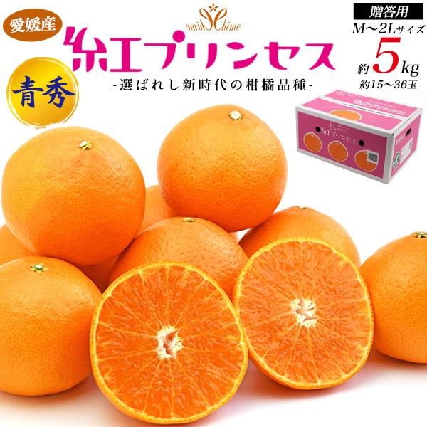 紅プリンセス みかん Lサイズ 5kg 愛果48号 格外5kg 紅プリンセス同品種 サイズ混合 家庭用 訳あり 紅ま