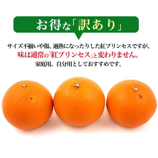 訳あり 紅プリンセス 愛媛県産 みかん M〜2Lサイズ 約5kg 15〜36玉入り
