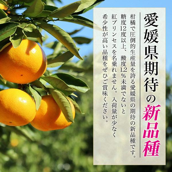 訳あり 紅プリンセス 愛媛県産 みかん M〜2Lサイズ 約5kg 15〜36玉入り