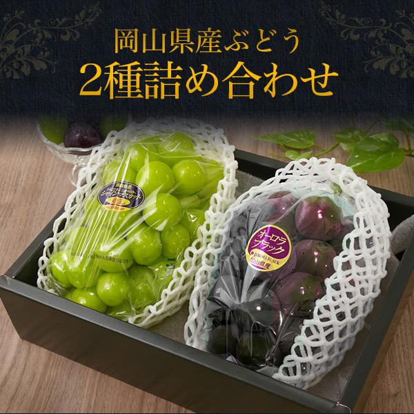 岡山県産 シャインマスカット 晴王 オーロラブラック 2種詰め合わせ