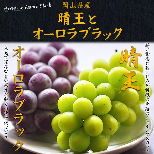 岡山県産 シャインマスカット 晴王 オーロラブラック 2種詰め合わせ