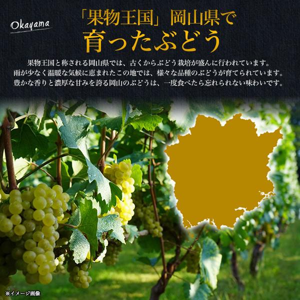 岡山県産 シャインマスカット 晴王 オーロラブラック 2種詰め合わせ