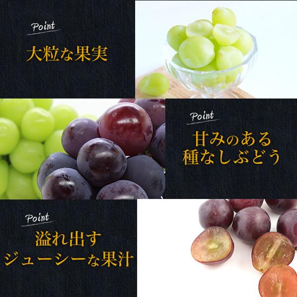 岡山県産 シャインマスカット 晴王 オーロラブラック 2種詰め合わせ