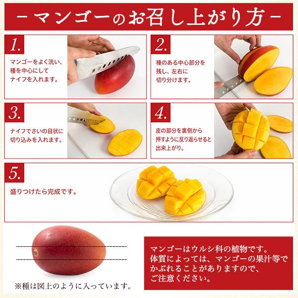 静岡県産 クラウンメロン 約1.3kg×宮崎県産 完熟マンゴー 4Lサイズ