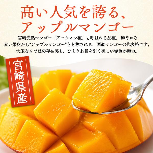 静岡県産 クラウンメロン 約1.3kg×宮崎県産 完熟マンゴー 4Lサイズ