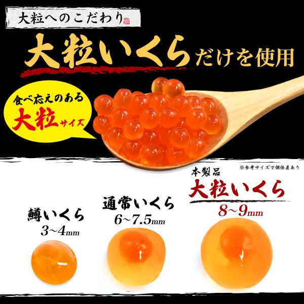 北海道産 鮭いくら 醤油漬け 2箱セット 60g×4パック入り×2個 国産 鮭子