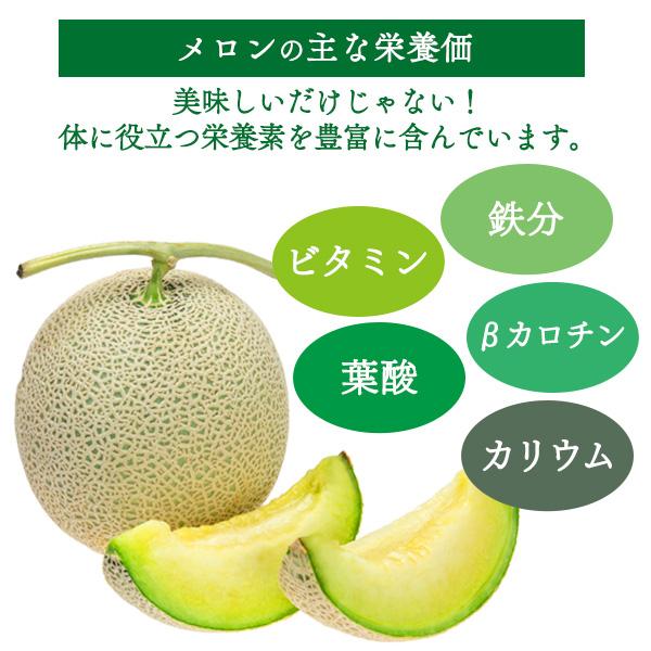 静岡県産 クラウンメロン 山等級 約1.5kg以上 2玉セット マスクメロン