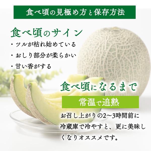 静岡県産 クラウンメロン 山等級 約1.5kg以上 2玉セット マスクメロン