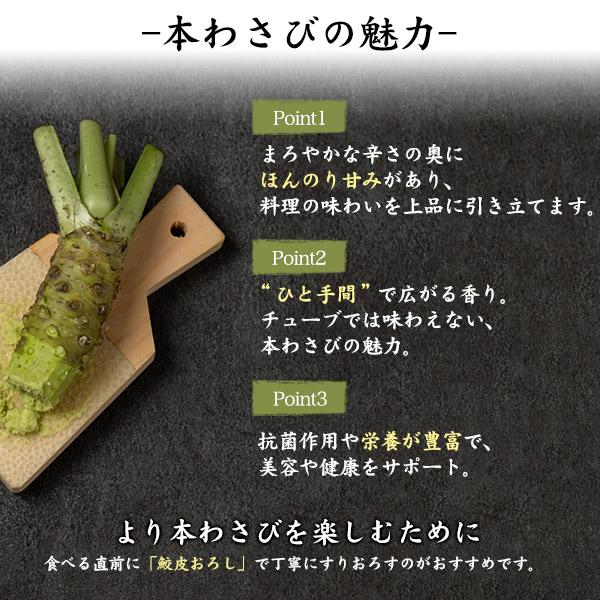 静岡県産 本わさび 大サイズ 約100〜120g×1本 国産 ワサビ 香味野菜