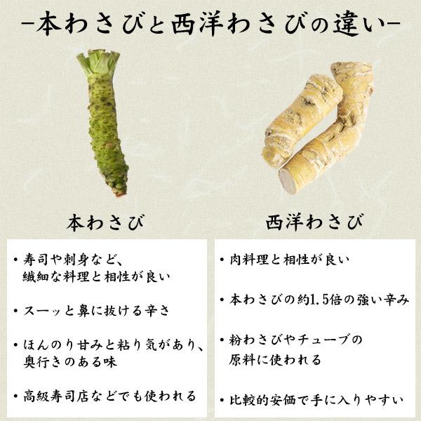 静岡県産 本わさび 大サイズ 約100〜120g×1本 国産 ワサビ 香味野菜