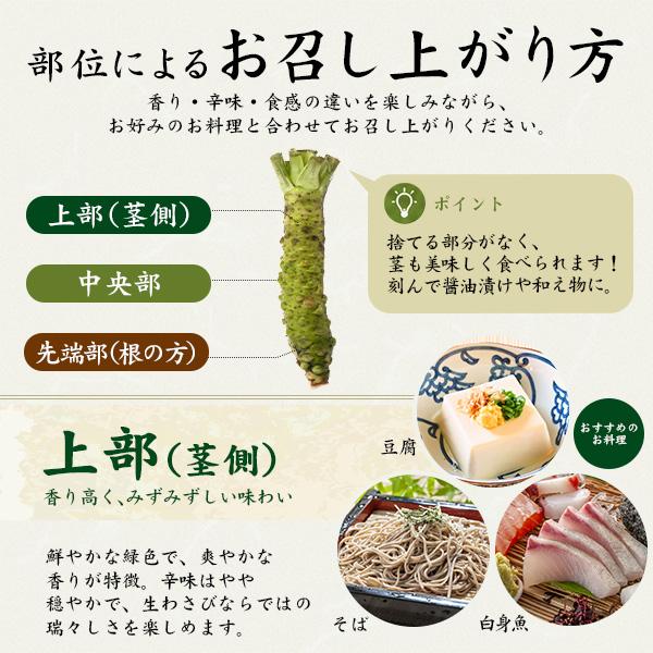 静岡県産 本わさび 大サイズ 約100〜120g×1本 国産 ワサビ 香味野菜