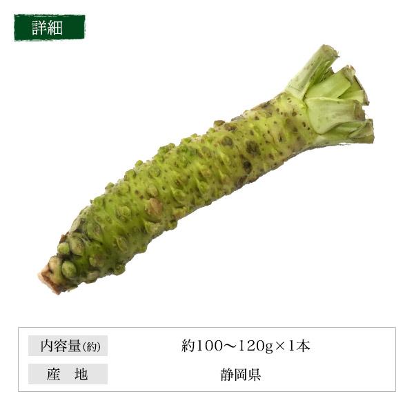 静岡県産 本わさび 大サイズ 約100〜120g×1本 国産 ワサビ 香味野菜