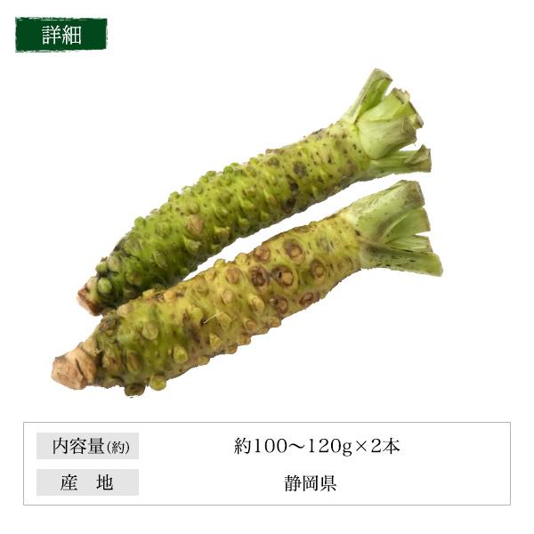 2本セット 静岡県産 本わさび 大サイズ 約100〜120g×2本 国産 ワサビ