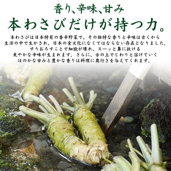 2本セット 静岡県産 本わさび 大サイズ 約100〜120g×2本 国産 ワサビ
