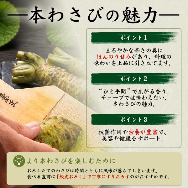 2本セット 静岡県産 本わさび 大サイズ 約100〜120g×2本 国産 ワサビ