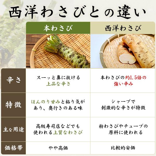 2本セット 静岡県産 本わさび 大サイズ 約100〜120g×2本 国産 ワサビ