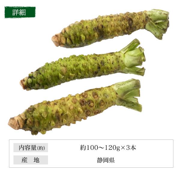 3本セット 静岡県産 本わさび 大サイズ 約100〜120g×3本 国産 ワサビ 香味野菜 薬味 季節の食材 和食 調味料 お取り寄せ食材 数量限定 冷蔵クール便配送