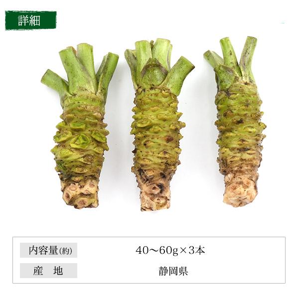 3本セット 静岡県産 本わさび 小サイズ 約40〜60g×3本 国産 ワサビ