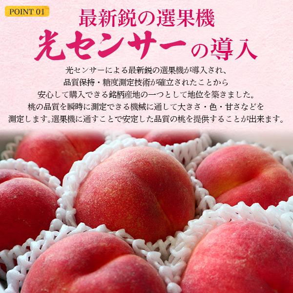 桃 山梨県産 一桃匠 夢 品種おまかせ 約1.5kg 5〜6玉入り 詰め合わせ