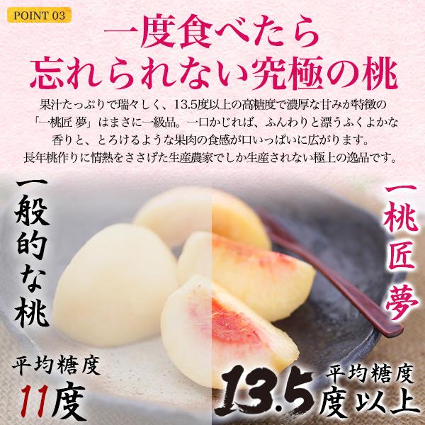 桃 山梨県産 一桃匠 夢 品種おまかせ 約1.5kg 5〜6玉入り 詰め合わせ