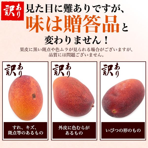 訳あり 宮崎県産 マンゴー 4Lサイズ 2玉入り 約1kg以上 国産 完熟 特大