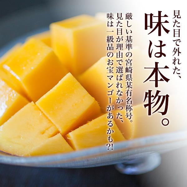 訳あり 宮崎県産 マンゴー 4Lサイズ 2玉入り 約1kg以上 国産 完熟 特大