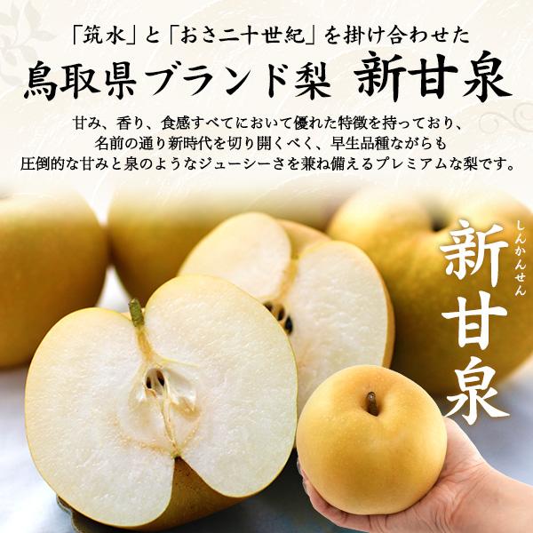 鳥取県産 梨 新甘泉 4〜7玉入り 計約2〜2.8kg前後 国産 果物 フルーツ